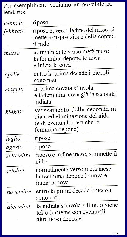 Tabella Riproduzione